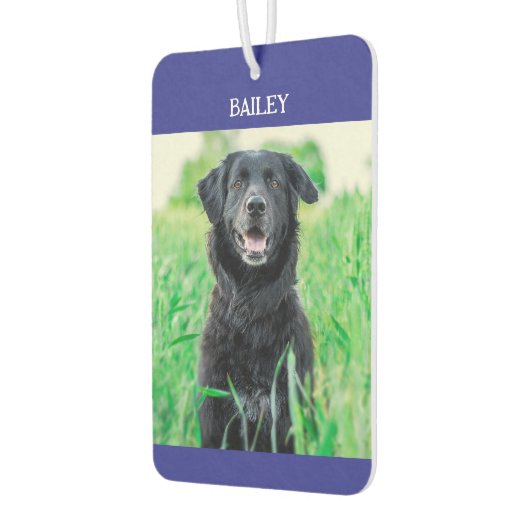 Naam van het huisdier en foto luchtverfrisser (Links)