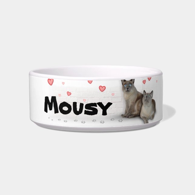 Naam van je kat voerbakje (Links)