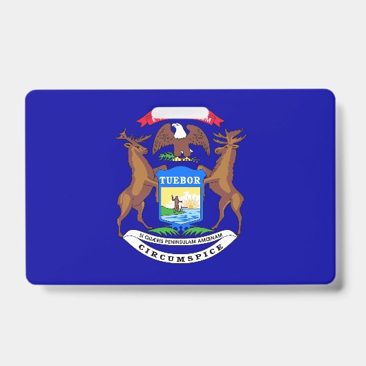 Naambadge met vlag van Michigan State, VS Badge (Voorzijde)