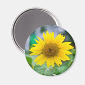 naamloze magneet (Voorkant / Achterkant)