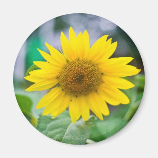 naamloze magneet (Voorkant)