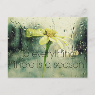 Naar alles een Seizoen Regen en Bloem Raam Briefkaart