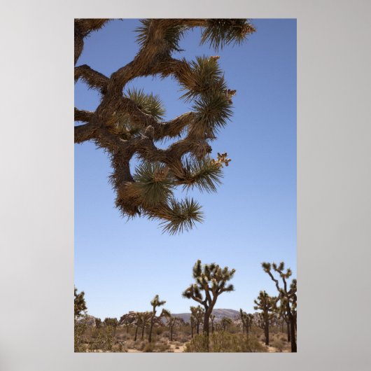 Naar beneden aan de voorkant poster (Voorkant)