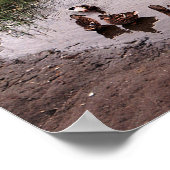 Naar beneden bij de moeras.... poster (Hoek)