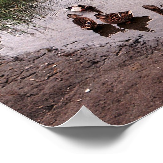 Naar beneden bij de moeras.... poster (Hoek)