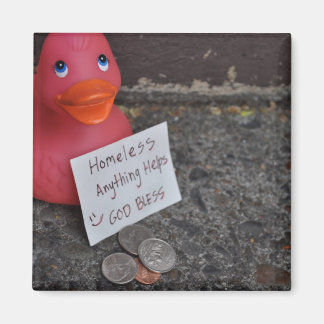 Naar beneden in de Eenden Magneet