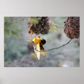 Naar beneden poster (Voorkant)