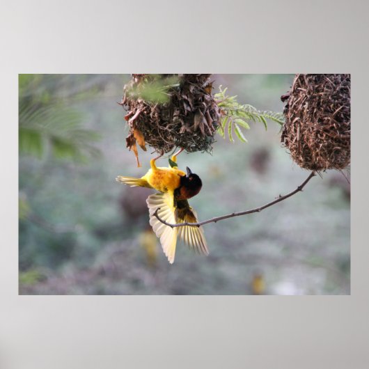 Naar beneden poster (Voorkant)