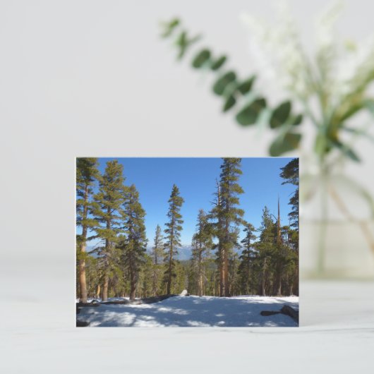 Naar beneden van Mitchell Peak in Sequoia Briefkaart (Staand voorkant)