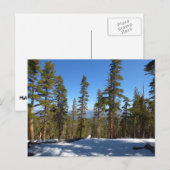 Naar beneden van Mitchell Peak in Sequoia Briefkaart (Voorkant / Achterkant)