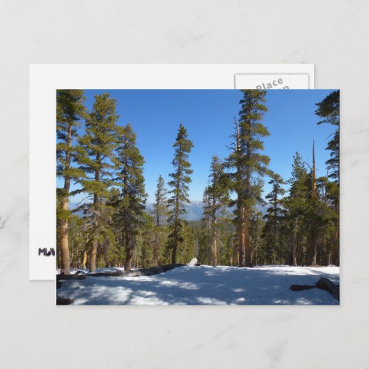 Naar beneden van Mitchell Peak in Sequoia Briefkaart (Voorkant / Achterkant)