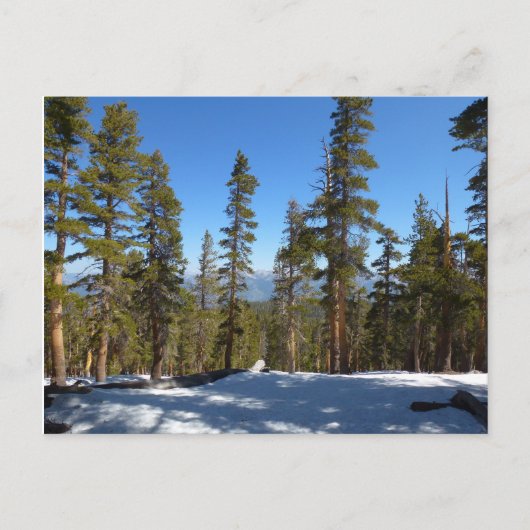 Naar beneden van Mitchell Peak in Sequoia Briefkaart (Voorkant)