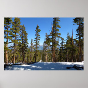 Naar beneden van Mitchell Peak in Sequoia Poster