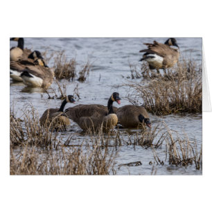 Naar binnen verplaatsen