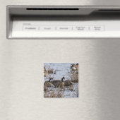 Naar binnen verplaatsen magneet (Insitu (Vaatwasser))
