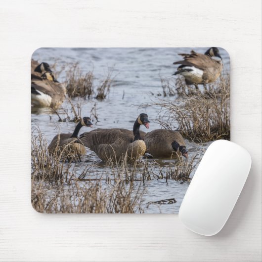 Naar binnen verplaatsen muismat (Met muis)