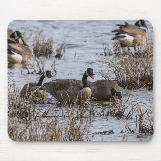 Naar binnen verplaatsen muismat (Voorkant)