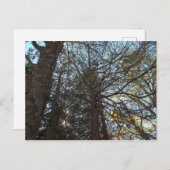 Naar boven door de bijkantoren briefkaart (Voorkant / Achterkant)