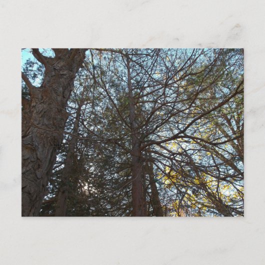 Naar boven door de bijkantoren briefkaart (Voorkant)