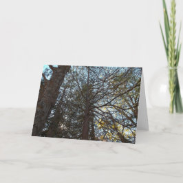 Naar boven door de bijkantoren kaart