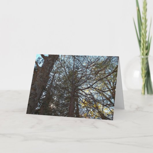 Naar boven door de bijkantoren kaart (Voorkant)