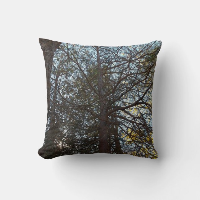 Naar boven door de bijkantoren kussen (Voorkant)