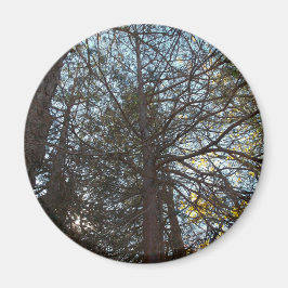 Naar boven door de bijkantoren magneet