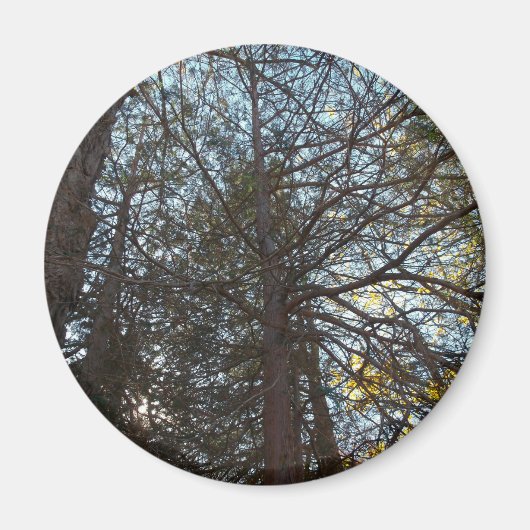 Naar boven door de bijkantoren magneet (Voorkant)