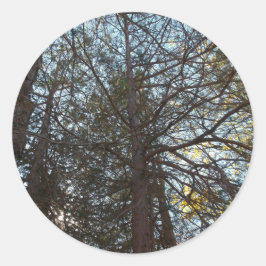 Naar boven door de bijkantoren ronde sticker