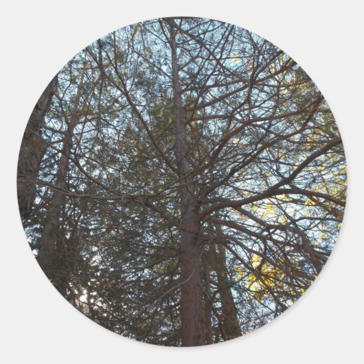 Naar boven door de bijkantoren ronde sticker (Voorkant)