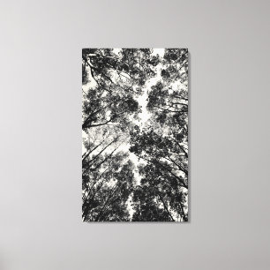 Naar boven door de bomen, 2018 SVP-Afbeeldingen Canvas Afdruk