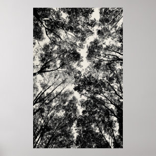 Naar boven door de bomen, 2018   SVP-Afbeeldingen Poster