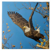 Naar boven en naar hen tegeltje (Voorkant)