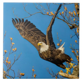 Naar boven en naar hen tegeltje