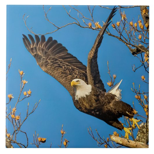 Naar boven en naar hen tegeltje (Voorkant)