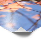 Naar boven, in de bladeren foto afdruk (Hoek)