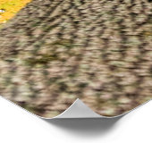 Naar boven kijkend vanuit de bosvloer poster (Hoek)