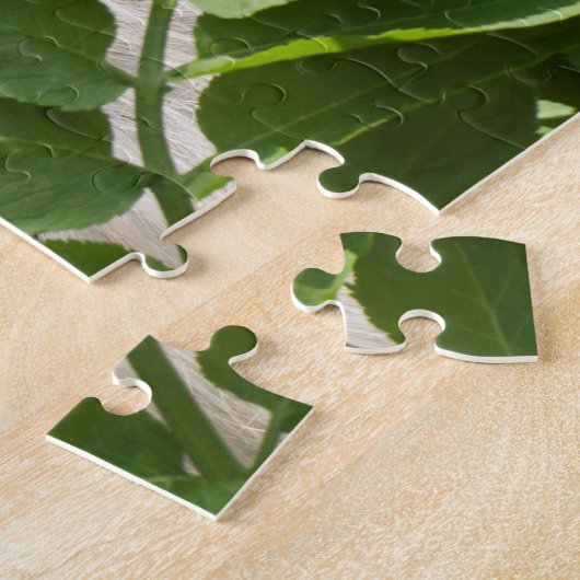 Naar camera kijken legpuzzel (Zijkant)