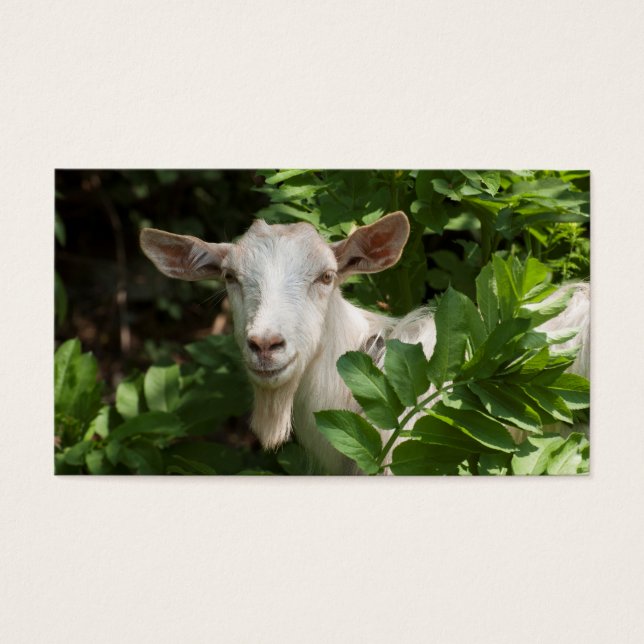 Naar camera kijken visitekaartjes (Voorkant)