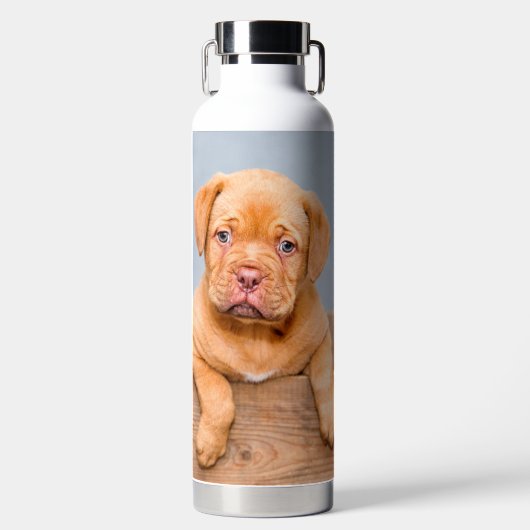 Naar de beste hond moeder ooit aangepaste foto en  waterfles (Voorkant)