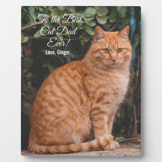 Naar de beste kat-pap ooit aangepaste foto fotoplaat (Voorkant)