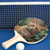 Naar de beste kat-pap ooit aangepaste foto tafeltennisbatje