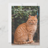 Naar de beste kat-pap ooit aangepaste fotoplatte K (Voorkant)