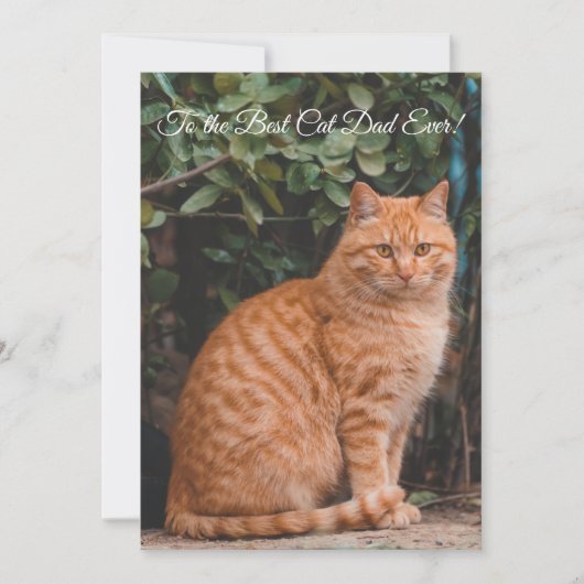 Naar de beste kat-pap ooit aangepaste fotoplatte K (Voorkant)