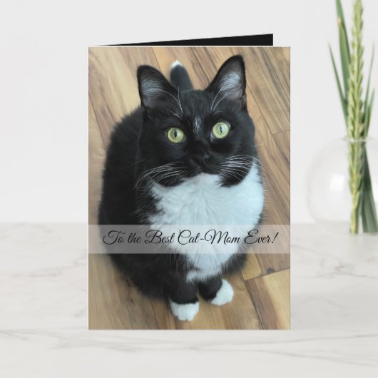 Naar de Beste Kattenmoeder Ooit Aangepaste Foto &  Feestdagen Kaart (Voorkant)