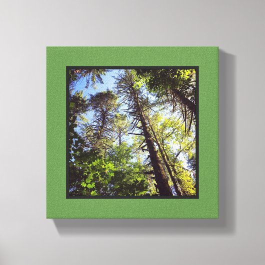 Naar de Bomen kijken Canvas Afdruk (Voorkant)