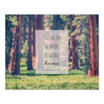 Naar de Bossen gaan | POSTER