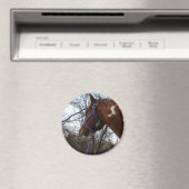 Naar de bossen kijk ik magneet (Insitu (Vaatwasser))