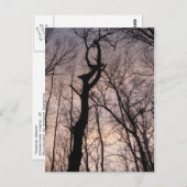 naar de hemel briefkaart (Voorkant / Achterkant)