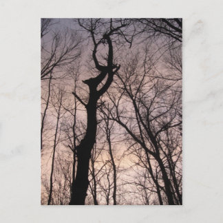 naar de hemel briefkaart